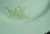 F&M-sheep-detail.jpg (12704 bytes)